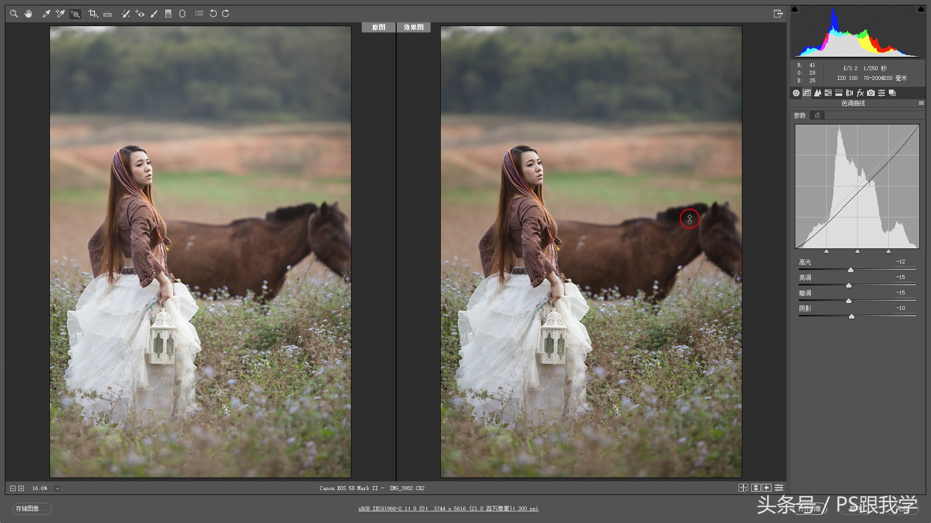 adobecameraraw工具怎么添加,cameraraw首选项怎么设置