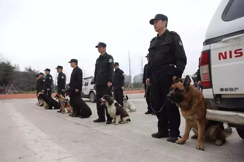走进神秘警犬基地！解密“神犬”是怎样炼成的……