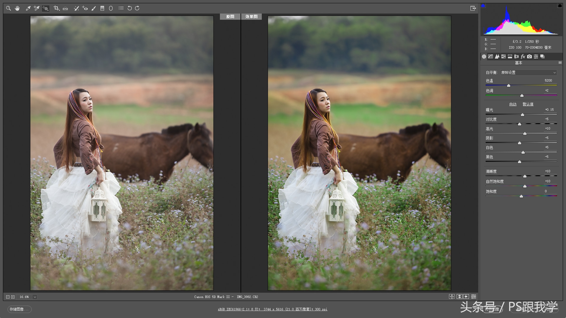 adobecameraraw工具怎么添加,cameraraw首选项怎么设置