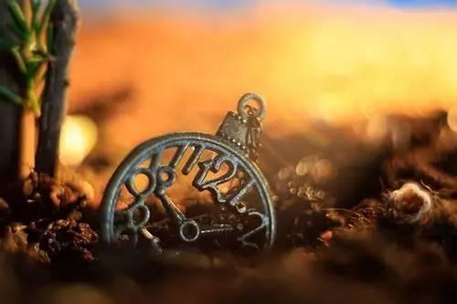 烟花易冷情意,烟花易冷人易散句子