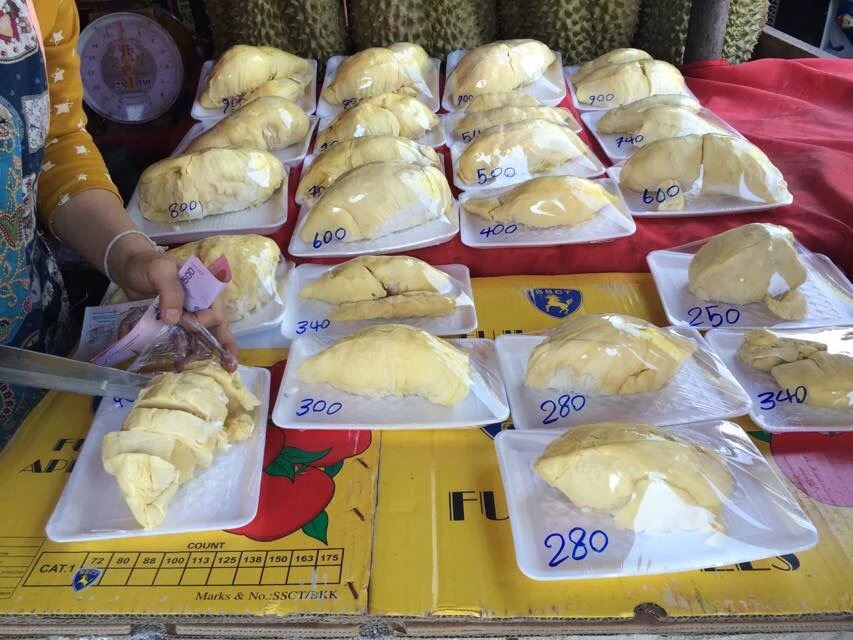 世界那么大假期你都游过哪些地方,世界那么大旅游特辑