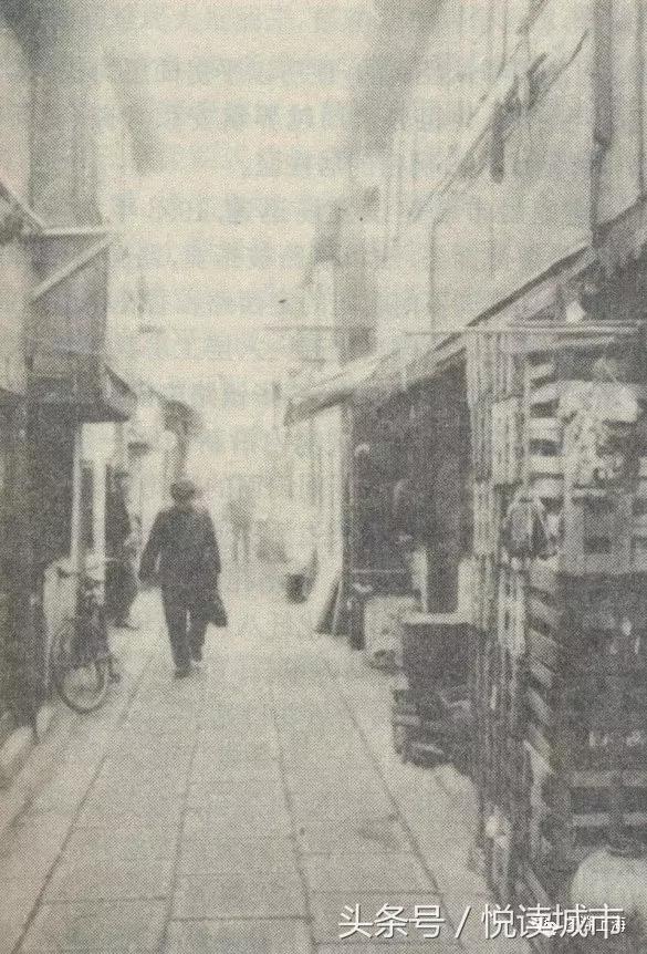 悦读城市,悦读城市完整版