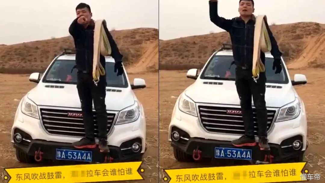 weyp8什么车,weyvv7和p8哪个贵