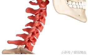 泰国素万乳胶枕,泰国素万乳胶枕是100%纯天然