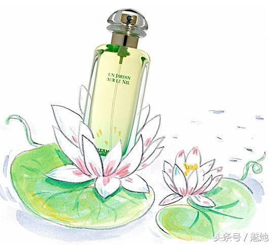 十大最好闻的香水爱马仕,爱马仕哪款香水值得推荐