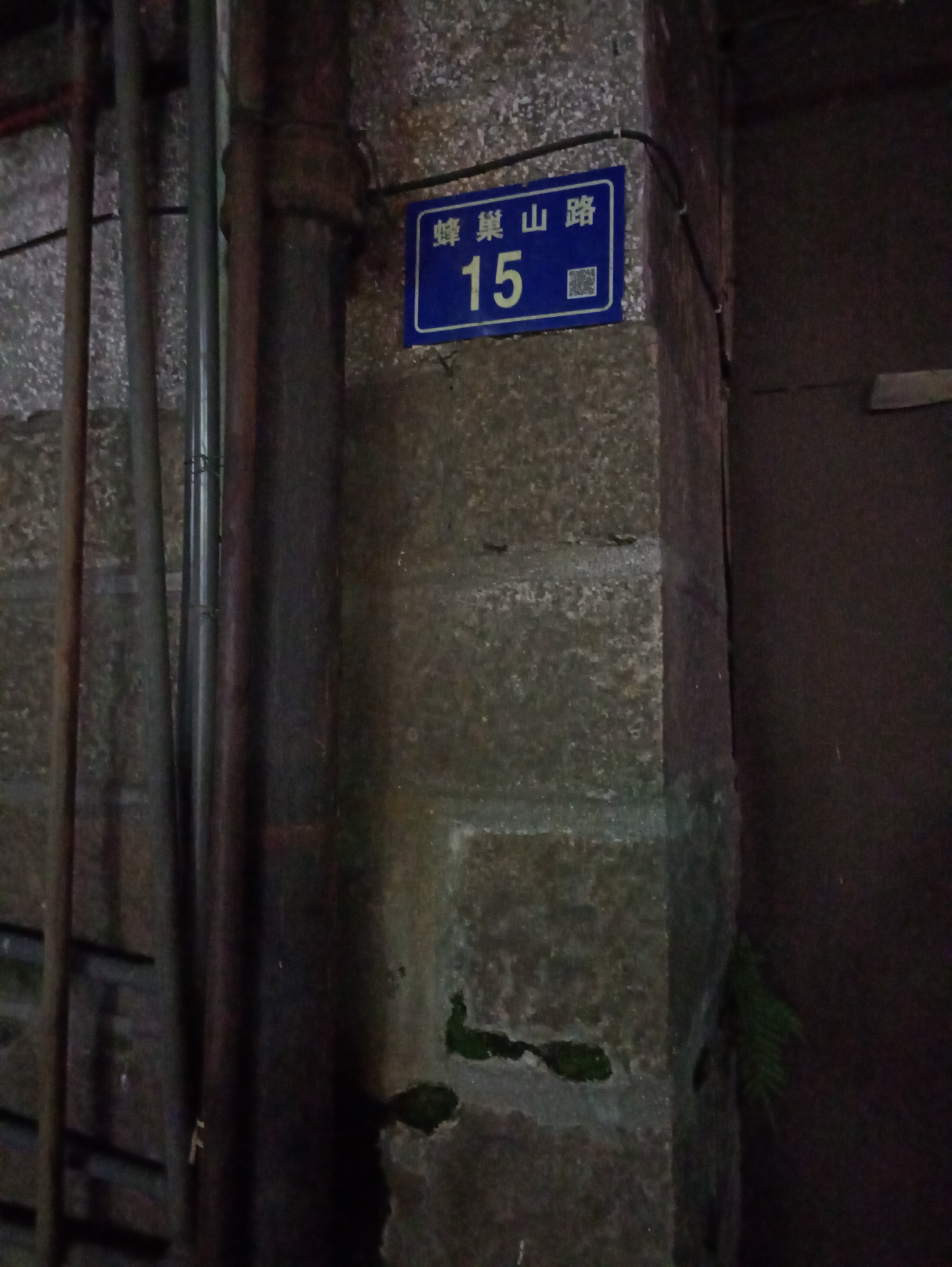 厦门市思明区蜂巢山,厦门哪里可以找到野蜜蜂