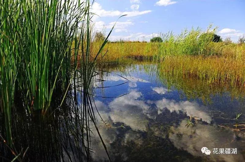 2022年乌鲁木齐5月1日放假几天,乌鲁木齐市周六日都放假了吗