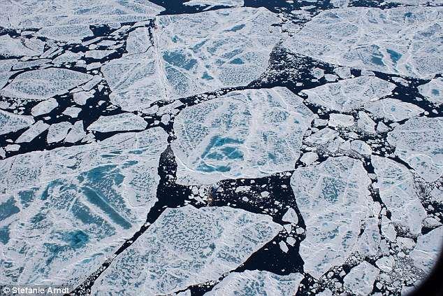 北极已成“塑料地狱”？每升冰一万个微塑料，还要毒害鱼和人！