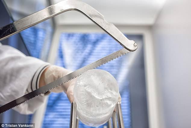 北极已成“塑料地狱”？每升冰一万个微塑料，还要毒害鱼和人！