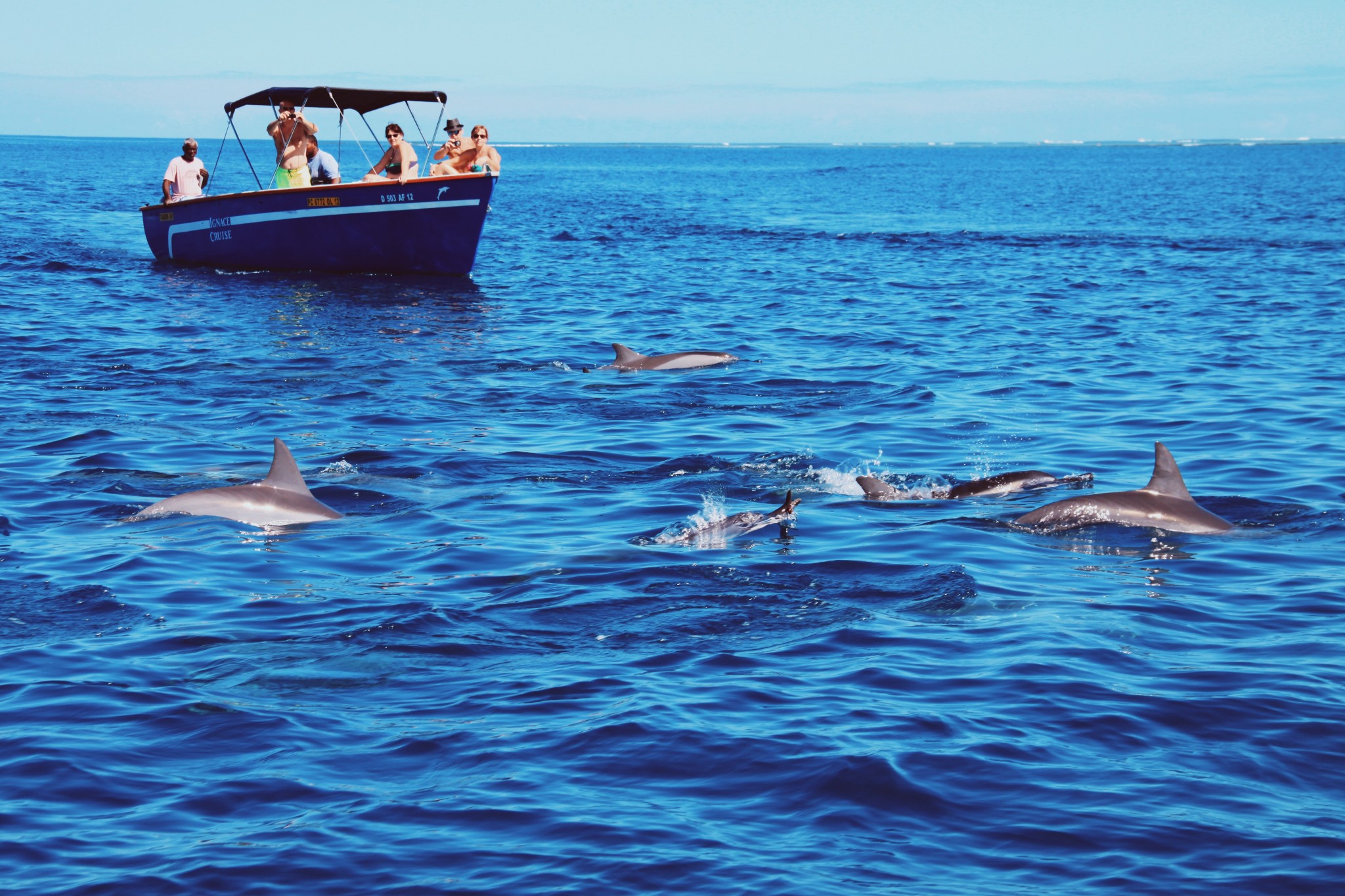 毛里求斯的旅游攻略,毛里求斯伊甸园