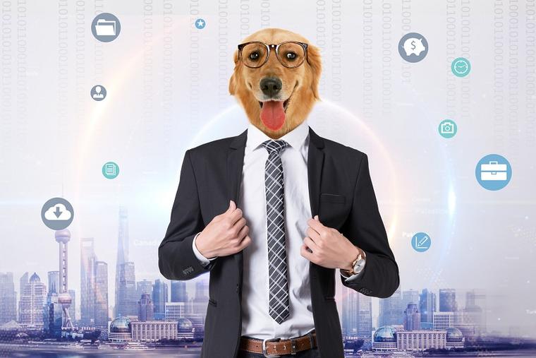 外卖员为什么不能骂不能投诉,外卖员为什么怕差评