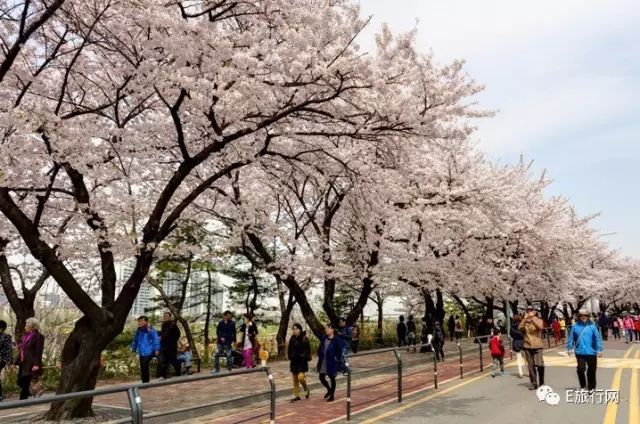 吓尿!日本化妆品祭“限购”大招!——便宜机票惹的祸
