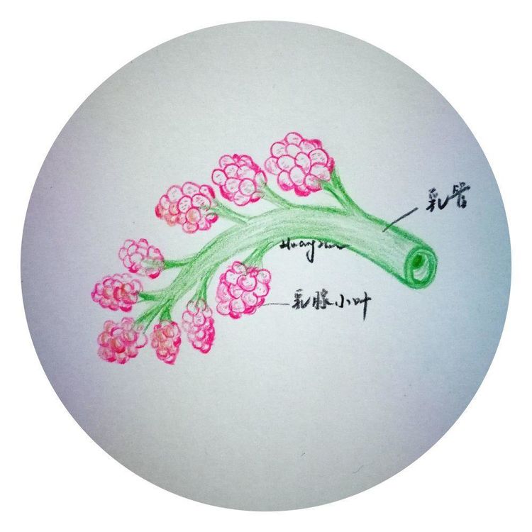 母爱无边致敬伟大的母亲,母爱无边