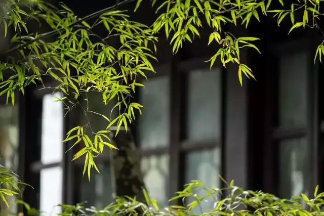 梦里徽州儿歌,梦里徽州音乐