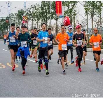 锦州市世博园开园了吗,锦州世博园五一开园