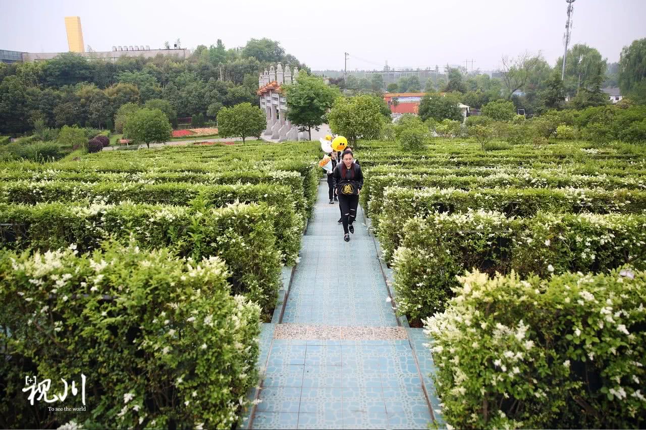 气球葬礼母亲,气球墓园