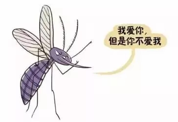 蚊子爱咬o型血准确吗,蚊子为什么咬o型血的人呢