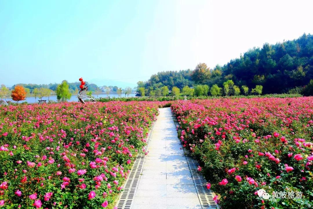 五一期间黄陂人游黄陂景点免费吗,五一黄陂景区免费有哪些