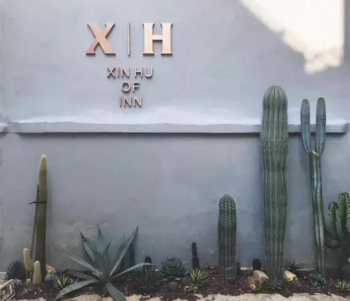 东山帐篷生态酒店左耳厦门民宿猫街第一爆改夫妻档他们改过的房子