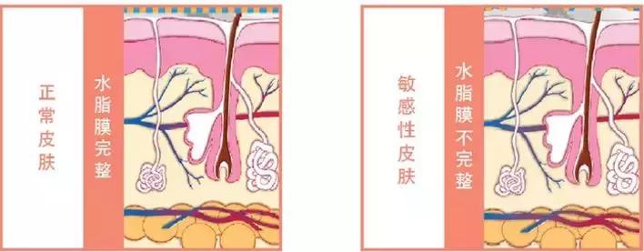 beautybank化妆,beautybank