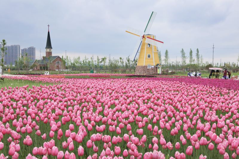 南通旅游攻略必去景点排名,南通紫琅湖公园五一有没有灯光秀