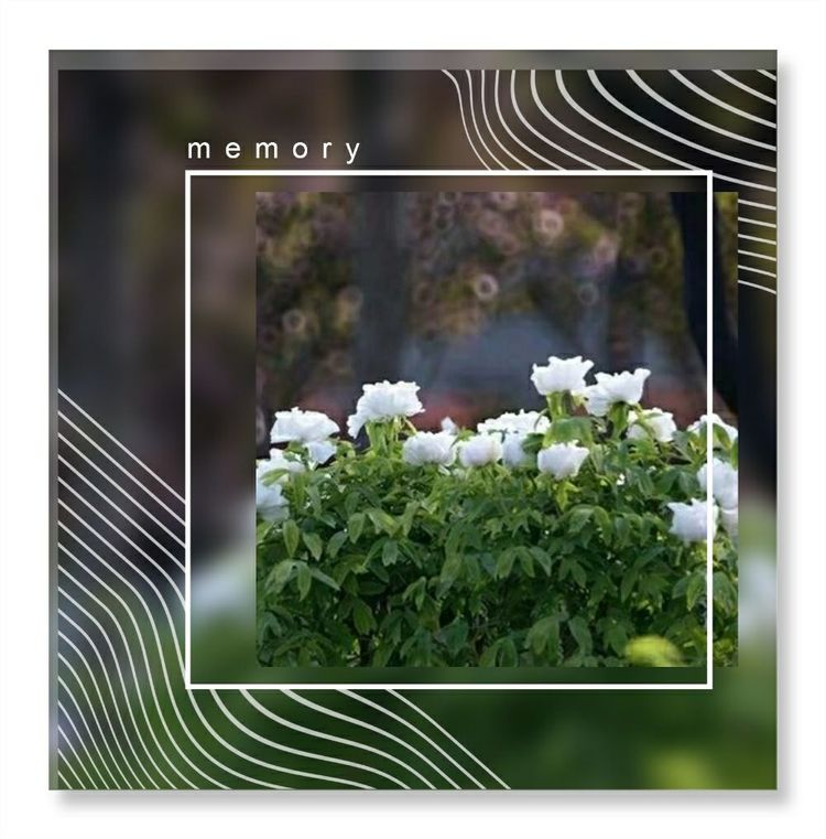 《洞天春》色几多情——（18—7·同韵）