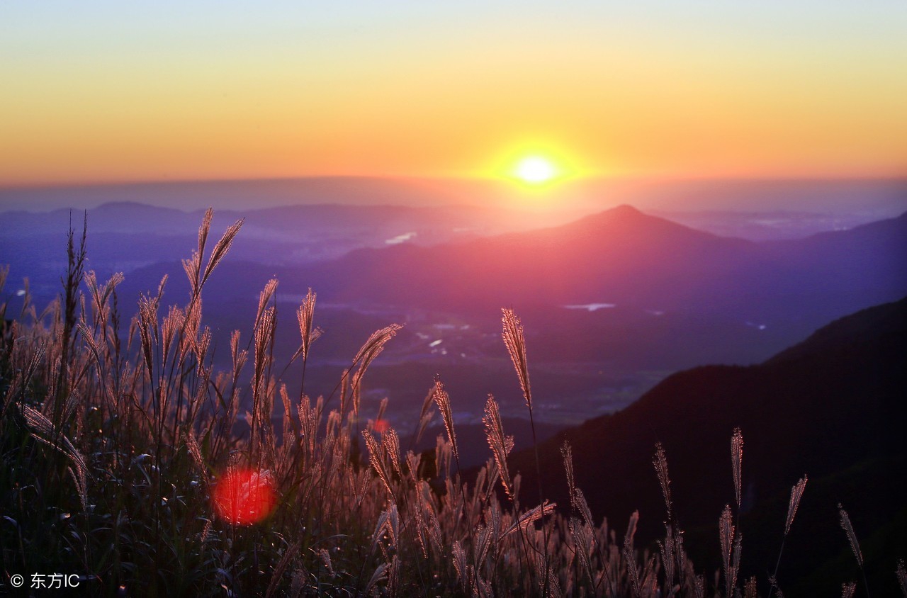 生活小妙招去污渍衣服,生活除污垢小妙招有哪些