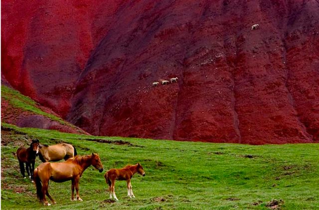 五一小长假北疆旅行,五一游玩的小短文50字