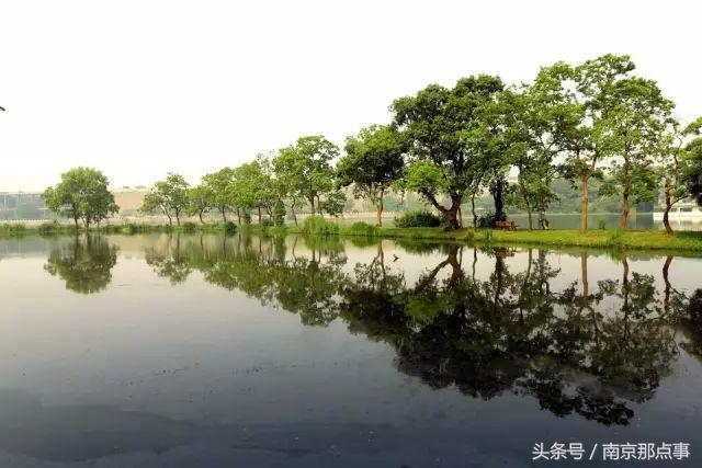 适合南京一日游的三十项免费景点,南京值得打卡的小众景点