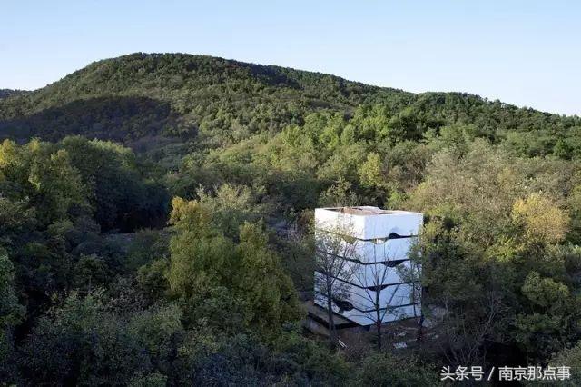 适合南京一日游的三十项免费景点,南京值得打卡的小众景点