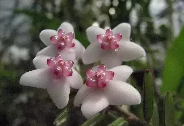 五一聚会的图片可保存,五一微信群图片