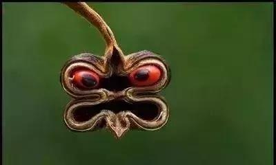 五一聚会的图片可保存,五一微信群图片