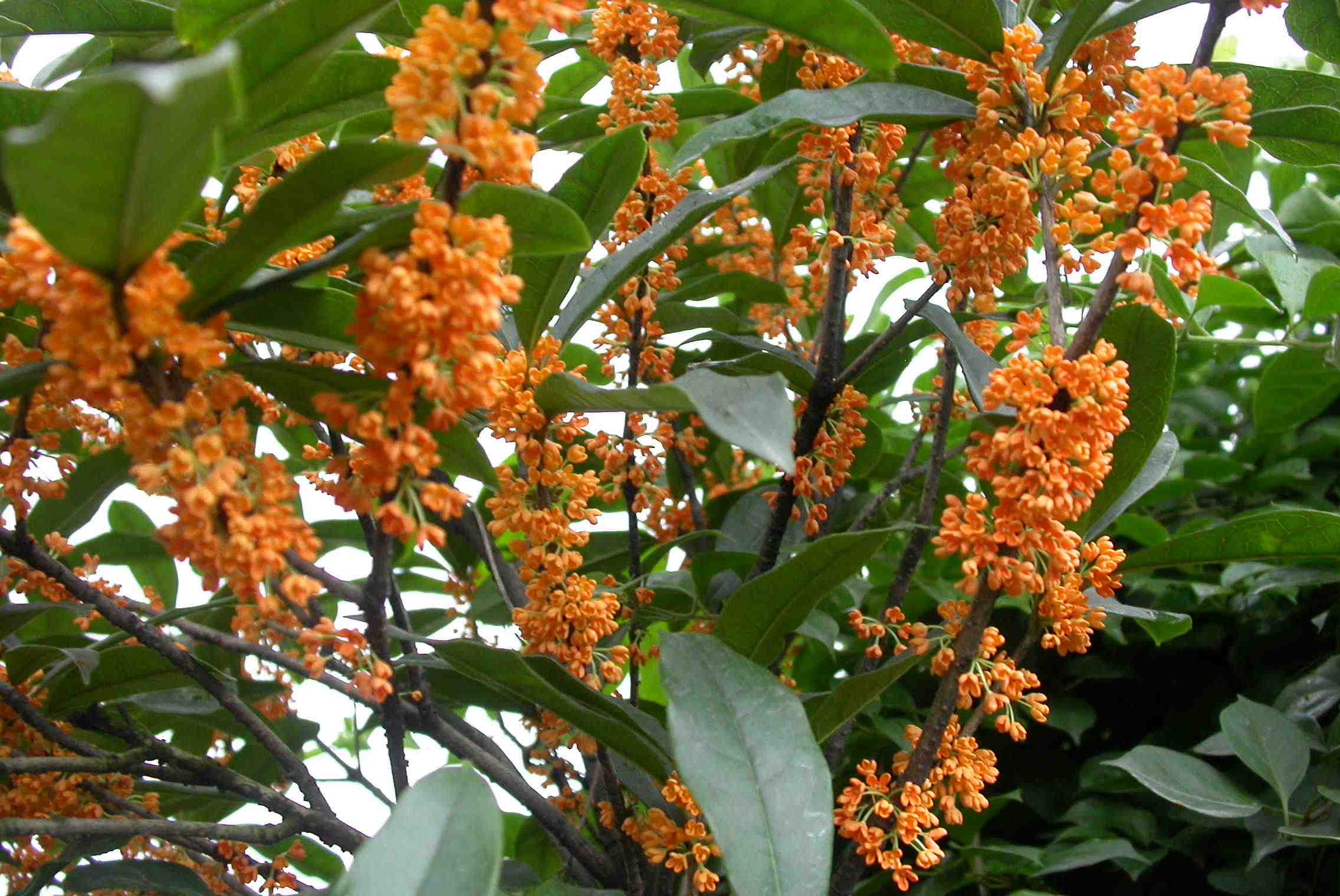 浙江有礼美丽杭州,美丽浙江换个视角看杭州