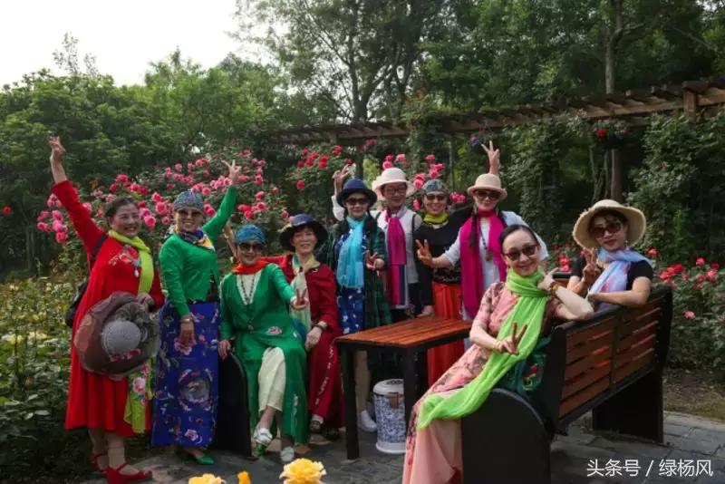 瘦西湖景区门票优惠条件,瘦西湖等国有景区全部免费开放