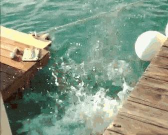 笑一笑睡好觉的搞笑图片,笑出皱纹的搞笑图片