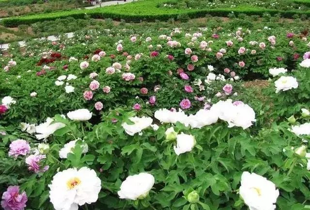 西安周边城市绝美景色旅游地点,西安出发五一4天自驾游路线推荐