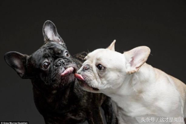 美国人普通的一天,美国人为什么日常生活很简单