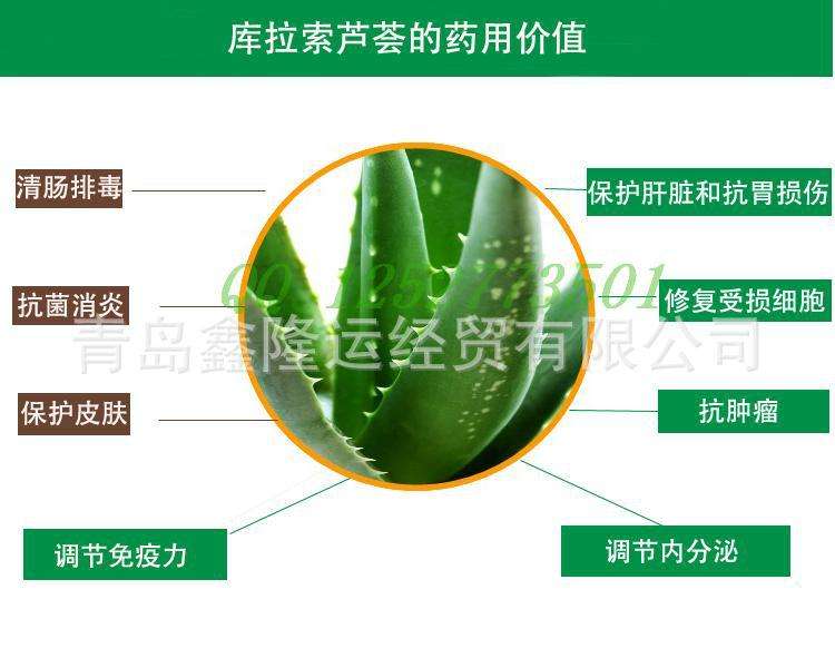 芦荟可以直接涂在脸上美容吗,芦荟抹脸美容吗