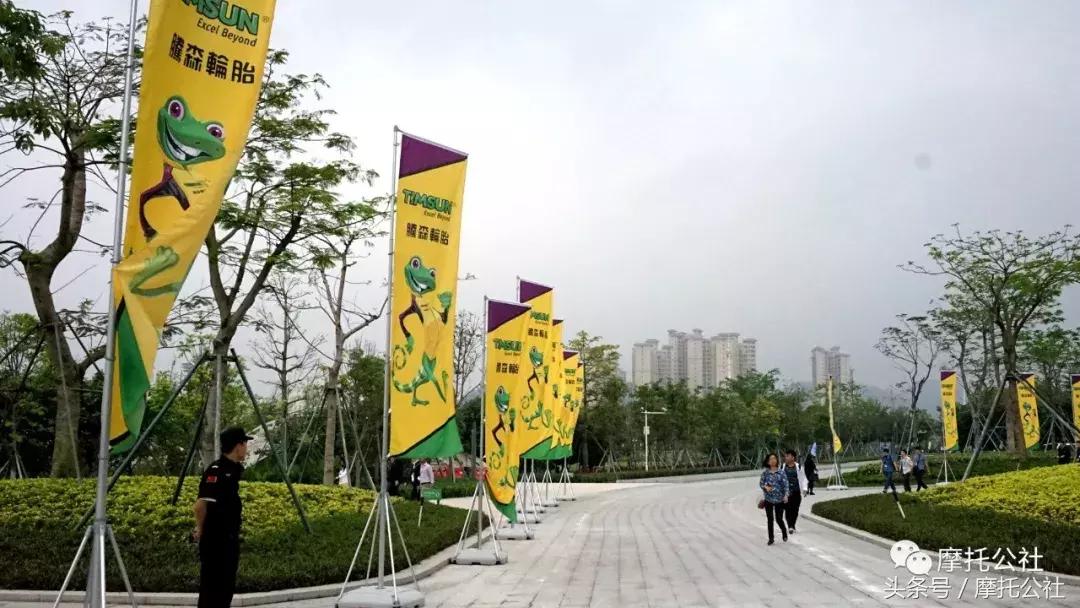 腾森壁虎系列轮胎,腾森轮胎蜥蜴