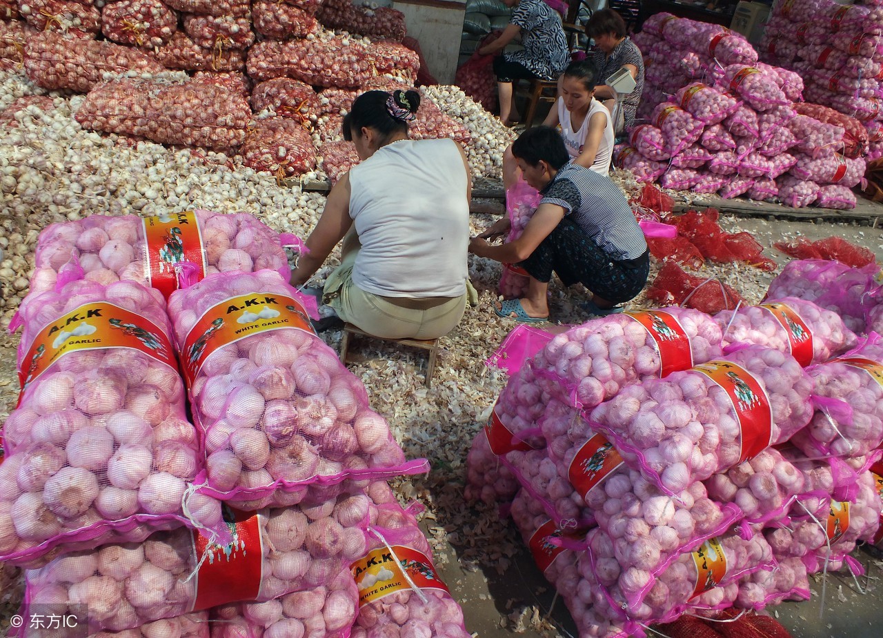 大蒜近期行情走势图是什么,2018年1月5日大蒜行情