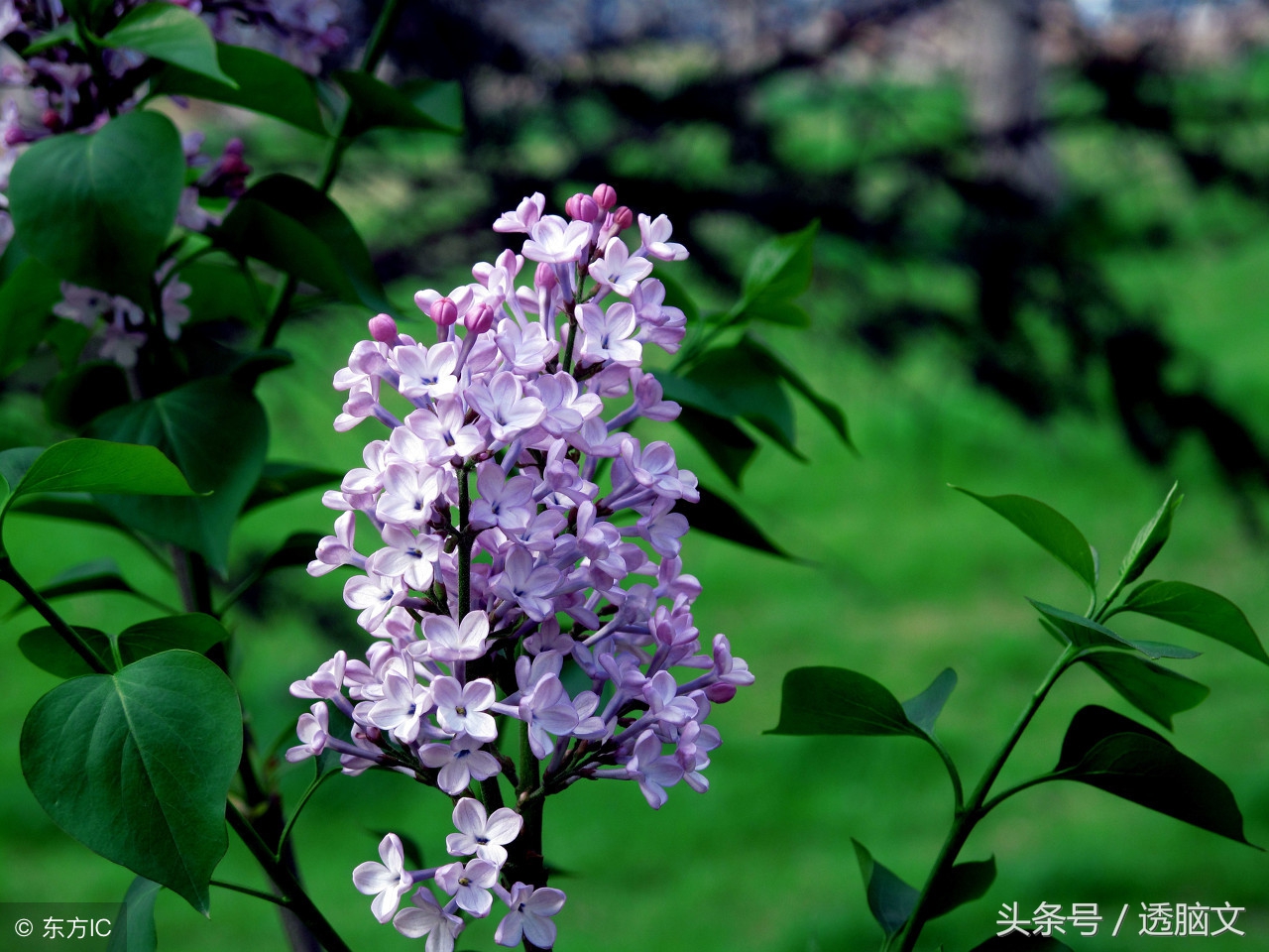 十大网红歌曲伤感情歌,抖音最火十大网红歌曲