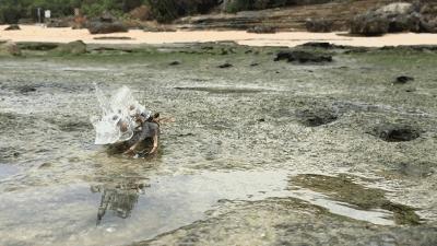 3D打印技术助力先进制造,3d打印帮助动物