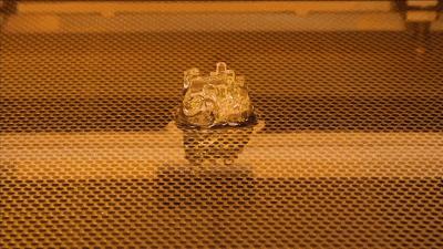 3D打印技术助力先进制造,3d打印帮助动物