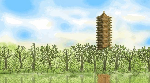 北大生日快乐 (北大生日会)