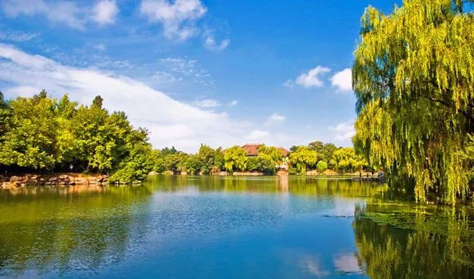 北大生日快乐 (北大生日会)