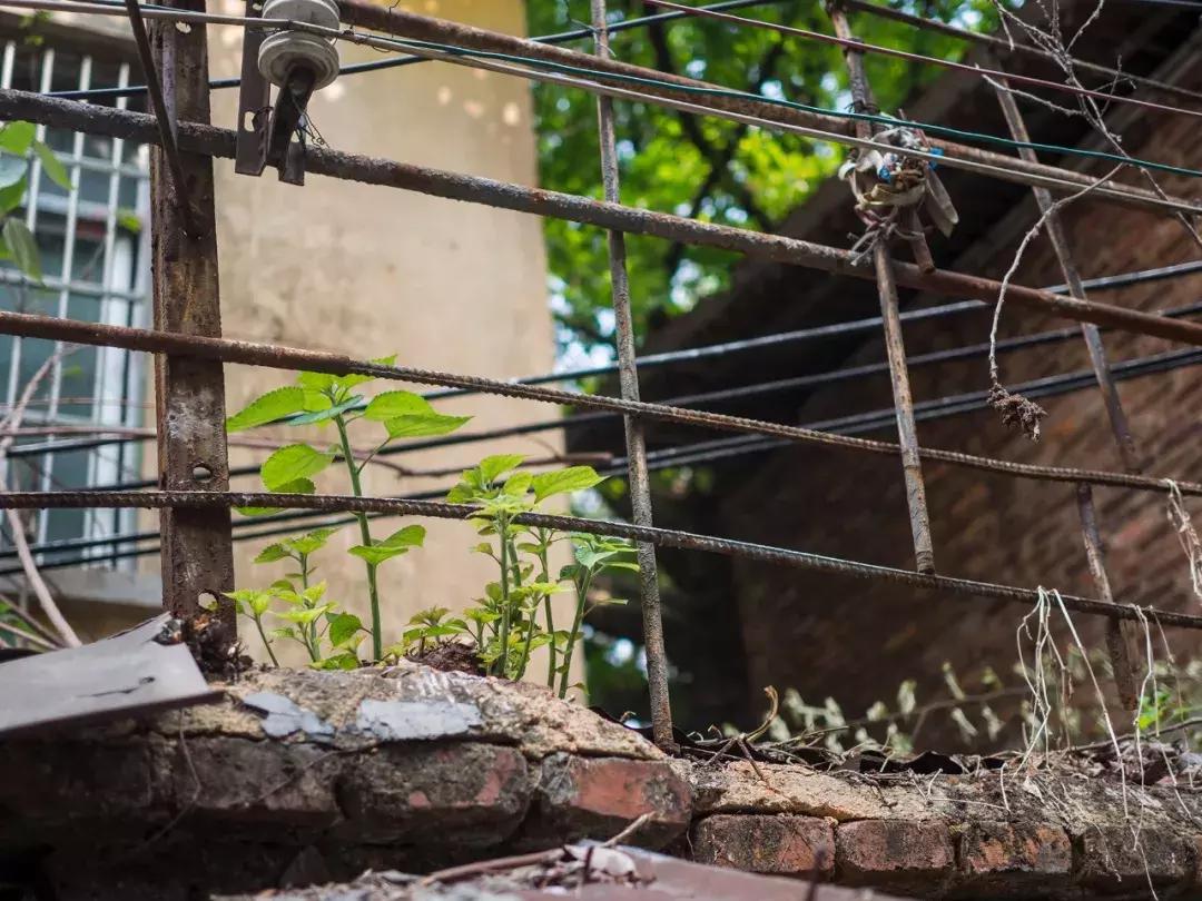 奥林巴斯epl9什么时候发布的,用颜值说话奥林巴斯e-pl9评测