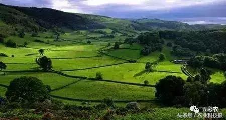 生态农业的可能性以及前景,生态农业造福千秋万代