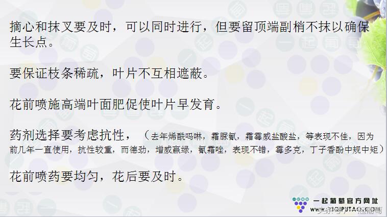 葡萄霜霉病的发生和防治,葡萄霜霉病严重发生怎么治疗