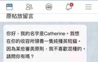 养猫继承遗产,猫咪血统是继承妈妈还是爸爸