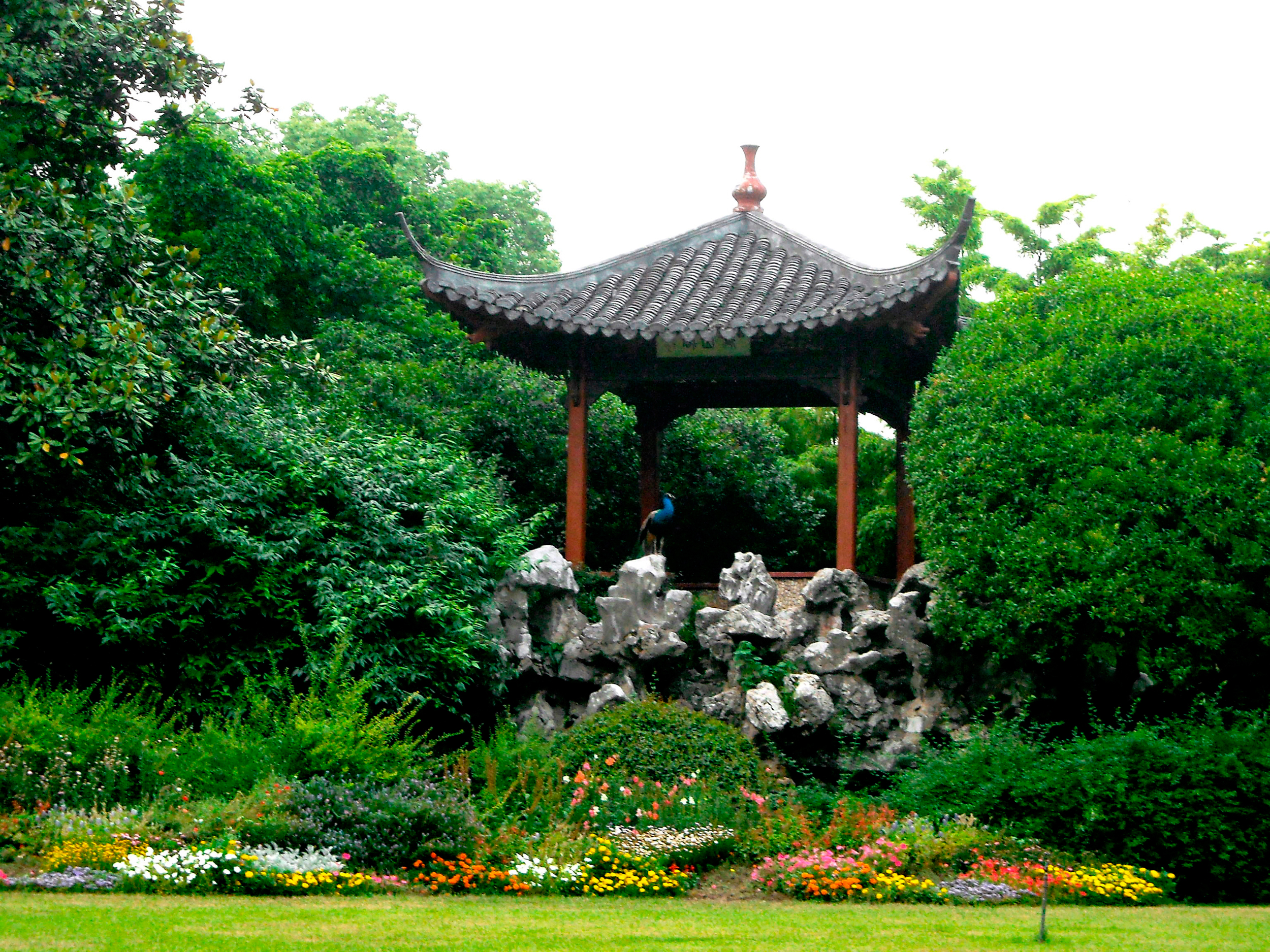 一个四川人的旅行,杭州西湖印象怎么样